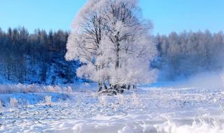 哈尔滨元旦起放寒假 哈尔滨元旦起放寒假